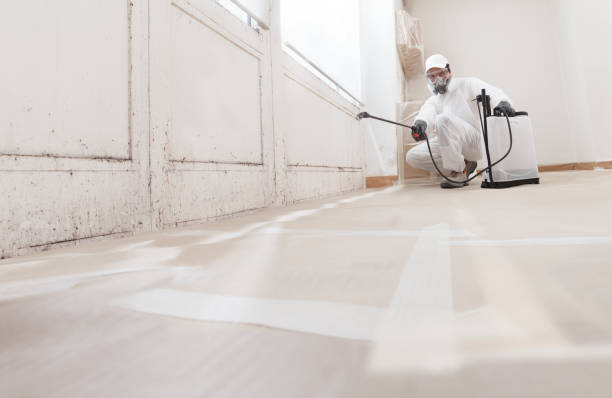 24/7 Emergency Mold Remediation experts in Sharon, PA